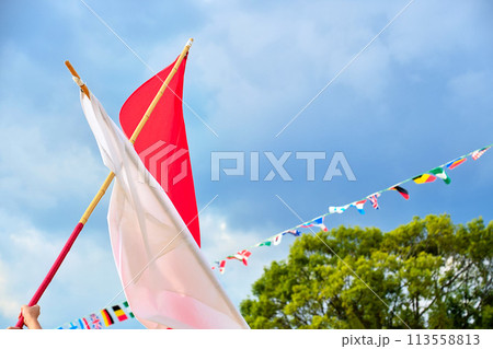 青空に映える団旗 113558813
