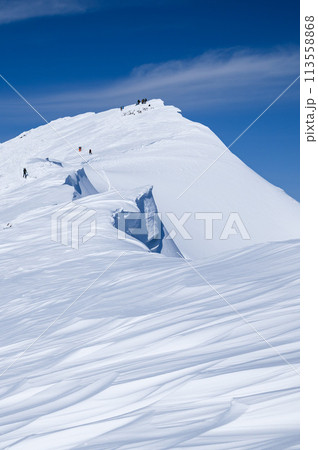 冬の谷川岳山頂・オキノ耳 冬の谷川岳山頂・オキノ耳 113558868