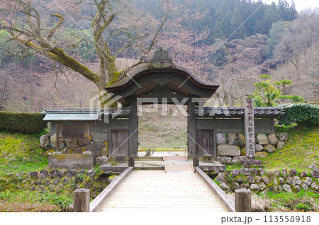 一乗谷朝倉氏遺跡の唐門 一乗谷朝倉氏遺跡の唐門 113558918
