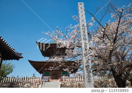 久米田寺(多宝塔)　【大阪府岸和田市】 113558993