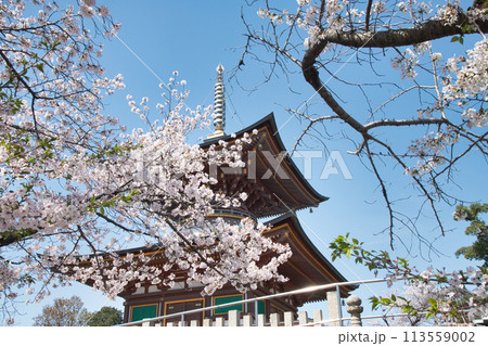 久米田寺(多宝塔)　【大阪府岸和田市】 113559002