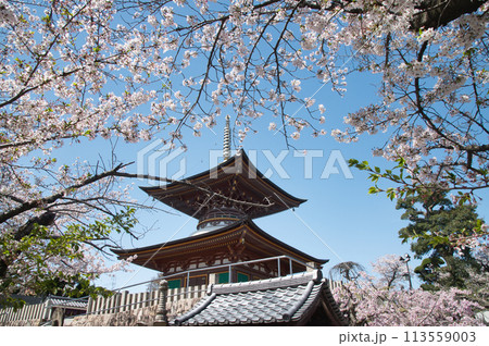 久米田寺(多宝塔)　【大阪府岸和田市】 113559003