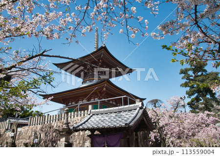 久米田寺(多宝塔)　【大阪府岸和田市】 113559004