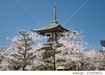 久米田寺(多宝塔)　【大阪府岸和田市】 113559011