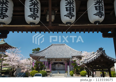久米田寺(楼門と金堂)　【大阪府岸和田市】 113559075