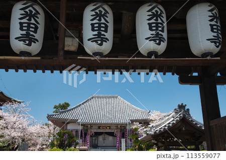 久米田寺(楼門と金堂)　【大阪府岸和田市】 113559077