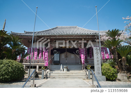 久米田寺(金堂) 【大阪府岸和田市】 久米田寺(金堂) 【大阪府岸和田市】 113559086