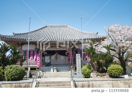 久米田寺(金堂) 【大阪府岸和田市】 久米田寺(金堂) 【大阪府岸和田市】 113559088