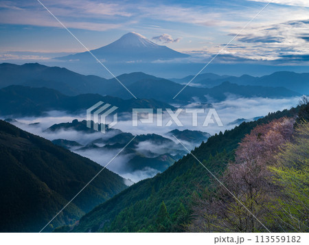 清水吉原から見る山桜咲く山並みと富士山 清水吉原から見る山桜咲く山並みと富士山 113559182
