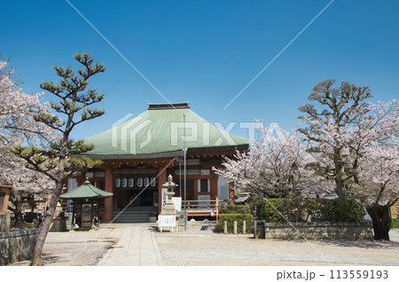 久米田寺(太子堂)　【大阪府岸和田市】 113559193