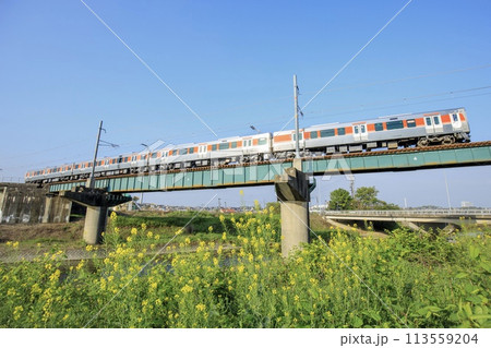武豊線、石ヶ瀬川橋梁を渡る315系3000番台車輌 113559204