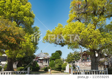 久米田寺(靖霊殿)　【大阪府岸和田市】 113559205
