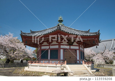久米田寺(靖霊殿)　【大阪府岸和田市】 113559208