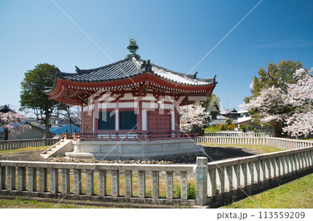 久米田寺(靖霊殿)　【大阪府岸和田市】 113559209