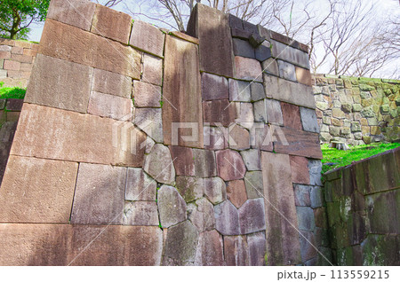 金沢城、玉泉院丸庭園の色紙短冊積石垣 金沢城、玉泉院丸庭園の色紙短冊積石垣 113559215