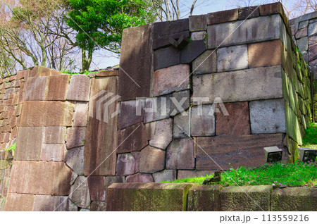 金沢城、玉泉院丸庭園の色紙短冊積石垣 113559216