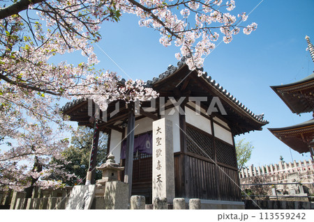 久米田寺(聖天堂) 【大阪府岸和田市】 久米田寺(聖天堂) 【大阪府岸和田市】 113559242