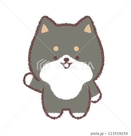 黒柴犬が案内をするポーズ 黒柴犬が案内をするポーズ 113559259