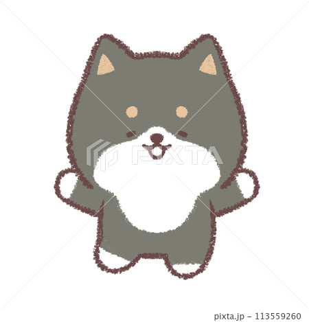 黒柴犬が喜ぶポーズ 黒柴犬が喜ぶポーズ 113559260