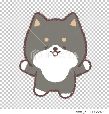 黒柴犬が喜ぶポーズ 黒柴犬が喜ぶポーズ 113559260