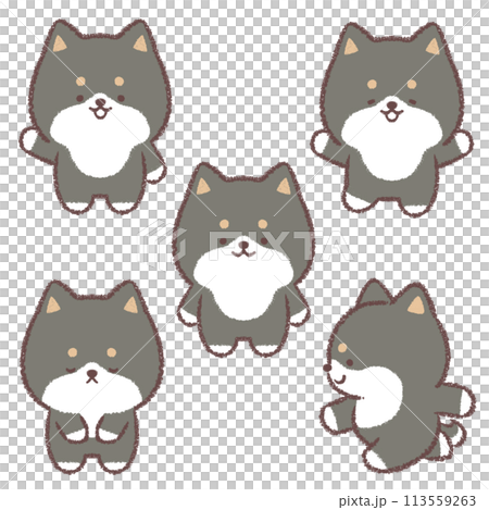 黑色柴犬變異套裝 113559263