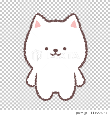 白柴犬の立ちポーズ 113559264