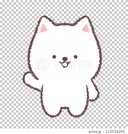 White Shiba Inu poses to guide White Shiba Inu poses to guide 113559265