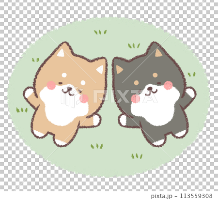 お昼寝をする柴犬と黒柴犬 113559308