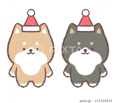 サンタ帽子をかぶる柴犬と黒柴犬 113559324