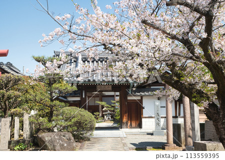 久米田寺　【大阪府岸和田市】 113559395