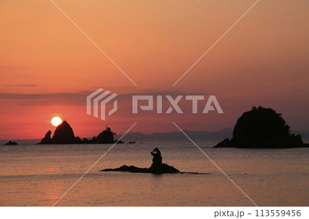 夕日に染まる美しい海岸の夕景 夕日に染まる美しい海岸の夕景 113559456