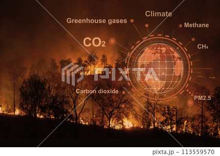 Forest fires are emitting substantial amounts of greenhouse gases and particulate matter into the atmosphere Forest fires are emitting substantial amounts of greenhouse gases and particulate matter into the atmosphere 113559570