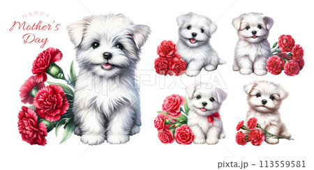 マルチーズの子犬と赤いカーネーションの水彩イラストの素材セット 113559581