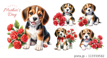 ビーグルの子犬と赤いカーネーションの水彩イラストの素材セット 113559582