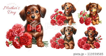 ミニチュアダックスフンドの子犬と赤いカーネーションの水彩イラストの素材セット 113559585