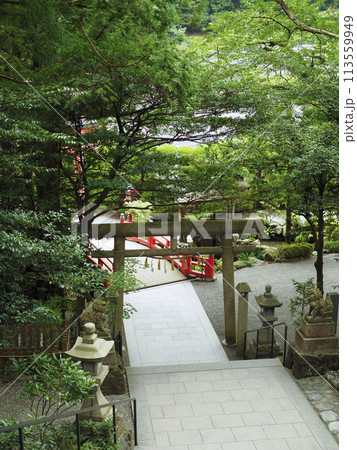 天河神社の鳥居と橋 113559949