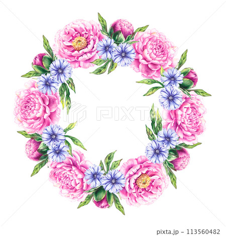 Pink floral wreath with blue flowers of the medicinal plant chicory 113560482