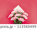 May Family Month Carnation Photo 113560499