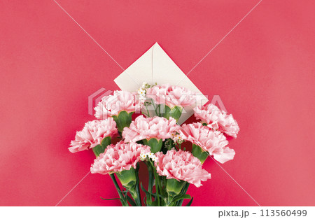 May Family Month Carnation Photo 113560499