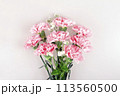 May Family Month Carnation Photo 113560500