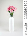 May Family Month Carnation Photo 113560502