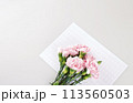 May Family Month Carnation Photo 113560503
