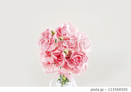 May Family Month Carnation Photo 113560505
