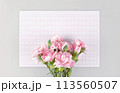 May Family Month Carnation Photo 113560507