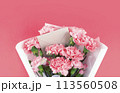 May Family Month Carnation Photo 113560508