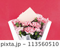 May Family Month Carnation Photo 113560510