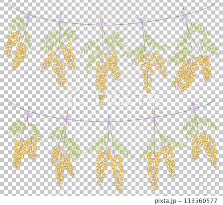 Mimosa flower garland hanging from a string [color] 113560577