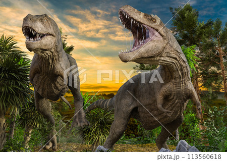 2匹のティラノサウルスが大きな口を開け獲物を探す 2匹のティラノサウルスが大きな口を開け獲物を探す 113560618