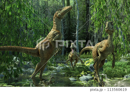 3匹のデイノニクスが川沿いで情報を感知している 3匹のデイノニクスが川沿いで情報を感知している 113560619