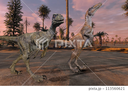 2匹のデイノニクスが夕暮れの中、獲物を探す 2匹のデイノニクスが夕暮れの中、獲物を探す 113560621